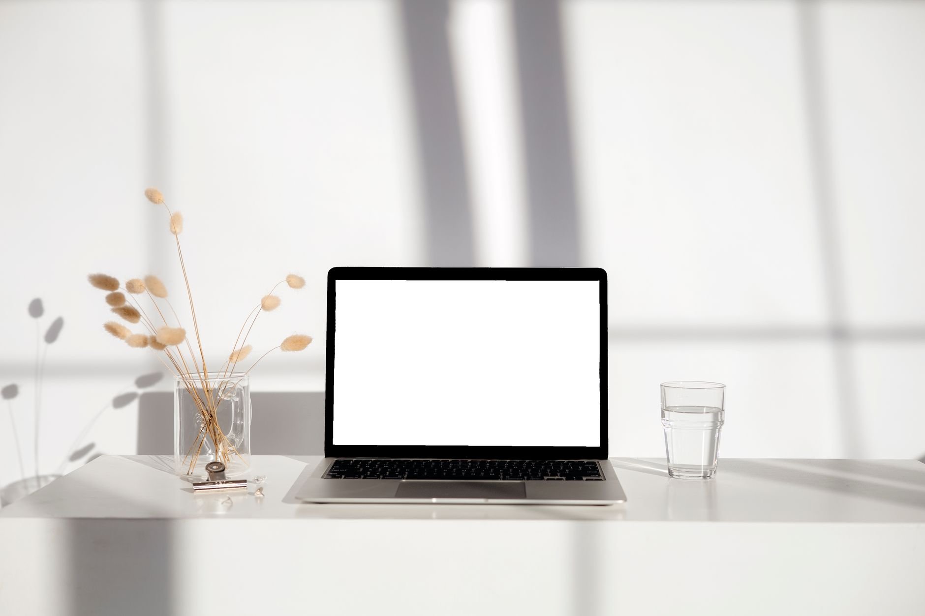 Elegant minimalist workspace featuring a laptop, glass vase with dry plants, and glass of water on a white desk.